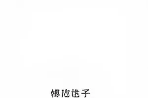老式邮局绿色木窗与信件分拣格
